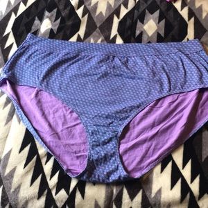 Plus Size Brief Panty Bundle